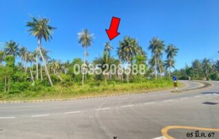 ขายที่ดิน ถนนสายปากน้ำ-หาดทรายรี (ทล.4098)