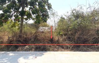 ทรัพย์ธนาคารโดย KASIKORNBANK ที่ดิน ถนนสายบ้านหนองบัวดีหมี - พระยืน (ขก.1011)