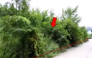 ทรัพย์สถาบันโดย บริษัท บริหารสินทรัพย์สุขุมวิท จำกัด ที่ดิน สวนวลีแลนด์ 4