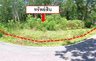 ทรัพย์ธนาคารโดย KASIKORNBANK ที่ดิน ถนนสายปาฮงยือริง-ปรียอ แยกจากถนนสายบุรี-รือเสาะ(ทล.4060)