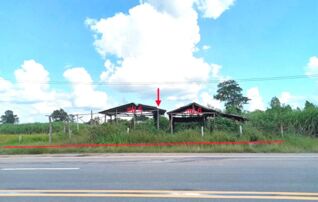 ทรัพย์ธนาคารโดย KASIKORNBANK ที่ดิน ถนนสายเนินสง่า - ทัพรั้ง (ชย.4035)