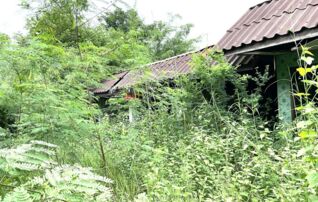 ทรัพย์ธนาคารโดย KASIKORNBANK บ้านเดี่ยว ถนนเข้าบ้านน้อยดงยาง
