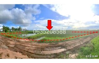 ขายที่ดิน ถนนสายบ้านม่วง-บ้านคอนสาย