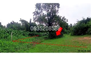 ขายที่ดิน ซอยบ้านบุใหญ่ ถนนมิตรภาพ (ทล.2)