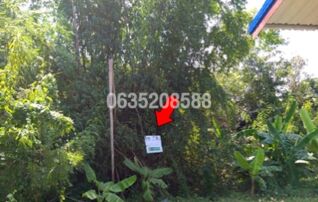 ขายที่ดิน ถนนสายวังหมัน-หนองขาม (ชน.5028)