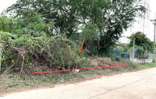 ทรัพย์ธนาคารโดย KASIKORNBANK ที่ดิน ซอยสุวัฒนา 1 ถนนสายกุดดินจี่ - หนองบัวลำภู (ทล.2097)