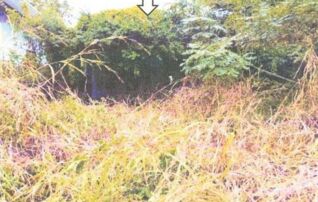 ทรัพย์สถาบันโดย GHB บ้านเดี่ยว ซอยม.เทพนิมิตรวิลเลจ 1 ถนนสายซับสมอทอด - บึงสา