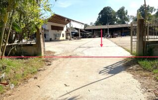 ทรัพย์ธนาคารโดย KASIKORNBANK บ้านเดี่ยว ถนนสายบ้านปางค่า-บ้านลุง (ทล.1155)