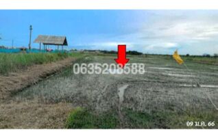 ขายที่ดิน ถนนสายชะอำ-คลองโคน (พบ.4028)