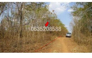 ขายที่ดิน เพชรบูรณ์การ์เด้นฮิลล์