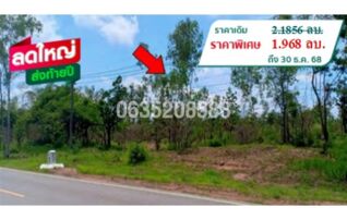 ขายที่ดิน มรกต
