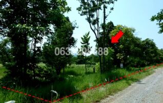 ขายที่ดิน เพชรบูรณ์ฮิลล์ แอนด์ การ์เด้น