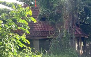 ทรัพย์ธนาคารโดย KASIKORNBANK บ้านเดี่ยว ถนนสายบ้านโพธิ์มูล - บ้านกุดชุม
