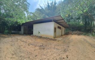ทรัพย์ธนาคารโดย KASIKORNBANK บ้านเดี่ยว ถนนเพชรเกษม (ทล.4)
