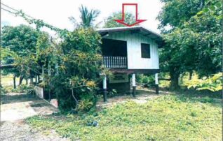 ทรัพย์สถาบันโดย GHB บ้านเดี่ยว ถนนทล.2315(สายแยกทล.210-หนองวัวซอ)