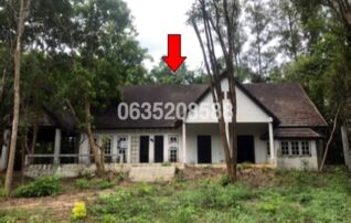 ขายบ้านเดี่ยว ล้านนาคันทรีปาร์ค