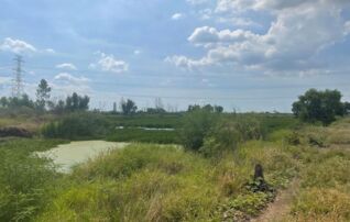 ทรัพย์สถาบันโดย GHB ที่ดิน สิชล