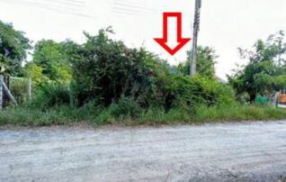 ทรัพย์สถาบันโดย GHB บ้านเดี่ยว พานทอง ชลบุรี