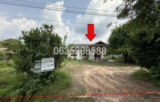 ขายบ้านเดี่ยว ถนนพนัสนิคม-เกาะโพธิ์(ทล.3341)
