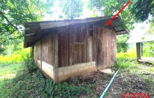 ทรัพย์ธนาคารโดย KASIKORNBANK บ้านเดี่ยว ถนนสายบ้านโฮ่ง - บ้านหนองเขียด (ลพ.3004)