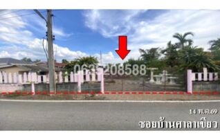 ขายบ้านเดี่ยว ซอยบ้านศาลาเขียว ถนนสายเสาไห้-สัมมะค่า (ทล.3314)