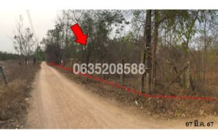 ขายที่ดิน ซอยบ้านนางสุนีย์ - บ้านนายประพนธ์ ถนนตาก-วังเจ้า (ทล.104)