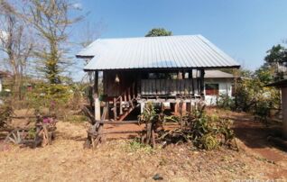 ทรัพย์ธนาคารโดย KASIKORNBANK บ้านเดี่ยว ถนนสายบ้านนาแก้ว-บ้านตงน้อย (สน.2013)