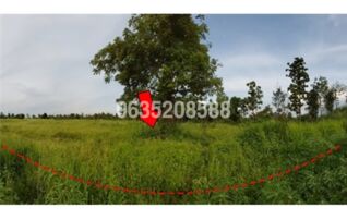 ขายที่ดิน ถนนสายชัยภูมิ-หนองบัวแดง (ทล.2159)