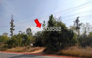 ขายที่ดิน ถนนสายชัยภูมิ-หนองบัวแดง (ทล.2159)