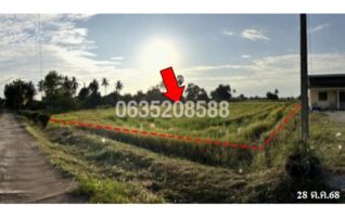 ขายที่ดิน ซอยเสียงทอง ถนนสายพิจิตร-พิษณุโลก (ทล.117)