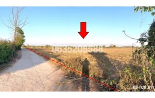 ขายที่ดิน ถนนมหาสารคาม-โกสุมพิสัย (ทล.208)