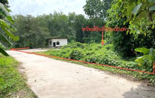 ทรัพย์ธนาคารโดย KASIKORNBANK โกดัง/โรงงาน ซอยนาขี้เป็ด 2 ถนนสายอนามัยควนกรด - วัดใหม่