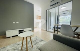 ขาย / เช่า เพลิน เพลิน คอนโด รังสิต - เวิร์คพอยท์ 2 ขนาด 32 ตรม. ชั้น3 Ploen Ploen Condo Rangsit - Workpoint 2 : เจ้าของให้เช่าเอง (งดรับนายหน้า)