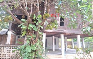 ทรัพย์ธนาคารโดย KASIKORNBANK บ้านเดี่ยว ถนนสายบ้านเหล่ายาวเหนือ-บ้านหัวห้วย (ลพ.3023)