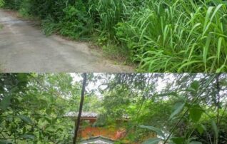 ทรัพย์สถาบันโดย GHB บ้านเดี่ยว สีมุม