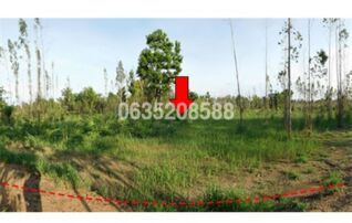 ขายที่ดิน ถนนสายบ้านโป่งคองเหนือ-บ้านเขว้า (ชย.3007)