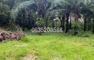 ขายที่ดิน ถนนสายบุรี-กะพ้อ (ทล.4060)