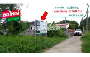 ขายที่ดิน ถนนท่าเรือ-ท่าลาน (ทล.3023)