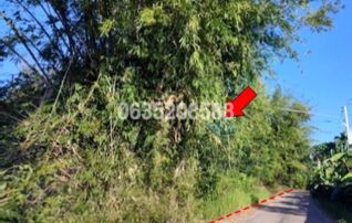 ขายที่ดิน ซอยทีวงศ์ ถนนกลิ่นจันทร์