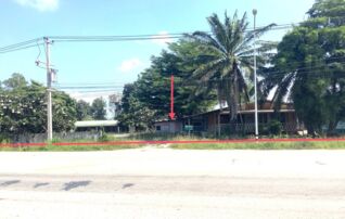 ทรัพย์ธนาคารโดย KASIKORNBANK บ้านเดี่ยว ถนนสายทุ่งมหาชัย-ระหาน(ทล.1280)