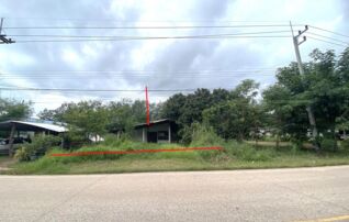 ทรัพย์ธนาคารโดย KASIKORNBANK บ้านเดี่ยว ถนนสายบ้านชมภูทอง - บ้านศรีวิไล (นค.3118)