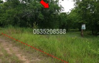ขายที่ดิน เพชรบูรณ์ฮิลล์ แอนด์ การ์เด้น