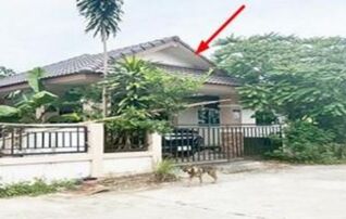 ทรัพย์สถาบันโดย GHB บ้านเดี่ยว ซอยป้าสอน ถนนรย.2026