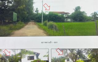 ทรัพย์สถาบันโดย GHB บ้านเดี่ยว บ้านปรีง