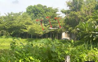 ทรัพย์ธนาคารโดย KASIKORNBANK บ้านเดี่ยว  ถนนสายหัวนาคำ - ห้วยเม็ก (กส.2025)