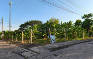 ขายที่ดิน 264 ตร.ว. ติดถนน 3 ด้าน มบ.ถนอมสุข (ไม่มีค่าส่วนกลาง)ซ.สวนผัก 50 ใกล้จุดขึ้นลงทางด่วน ใกล้ถ.กาญจนาภิเษก ใกล้ถ.พุทธมณฑลสาย 1 ใกล้ถ.บรมราชชนนี : โดยนายหน้า/ตัวแทน