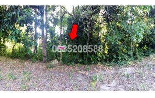 ขายที่ดิน ถนนสายบุรี-กะพ้อ (ทล.4060)