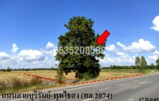 ขายที่ดิน ถนนบุรีรัมย์-พุทไธสง (ทล.2074)