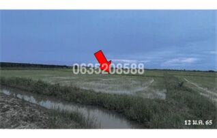 ขายที่ดิน ถนนสายชะอำ-คลองโคน (พบ.4028)