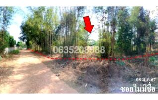 ขายที่ดิน ถนนบ้านหนองเหียง หมู่ที่ 2